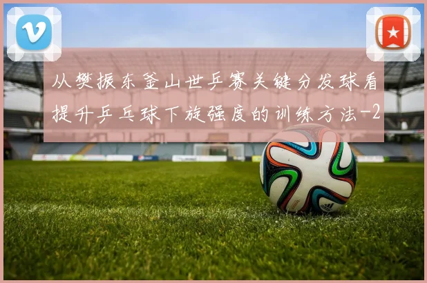 从樊振东釜山世乒赛关键分发球看提升乒乓球下旋强度的训练方法