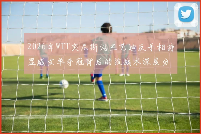 2026年WTT突尼斯站王艺迪反手相持显威女单夺冠背后的技战术深度分析