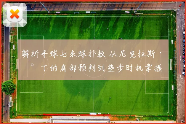 解析手球七米球扑救 从尼克拉斯·兰丁的肩部预判到垫步时机掌握